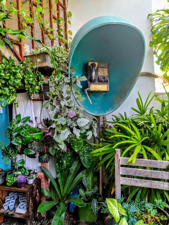 Hostel Em Boas Maos Barreirinhas Eksteriør billede